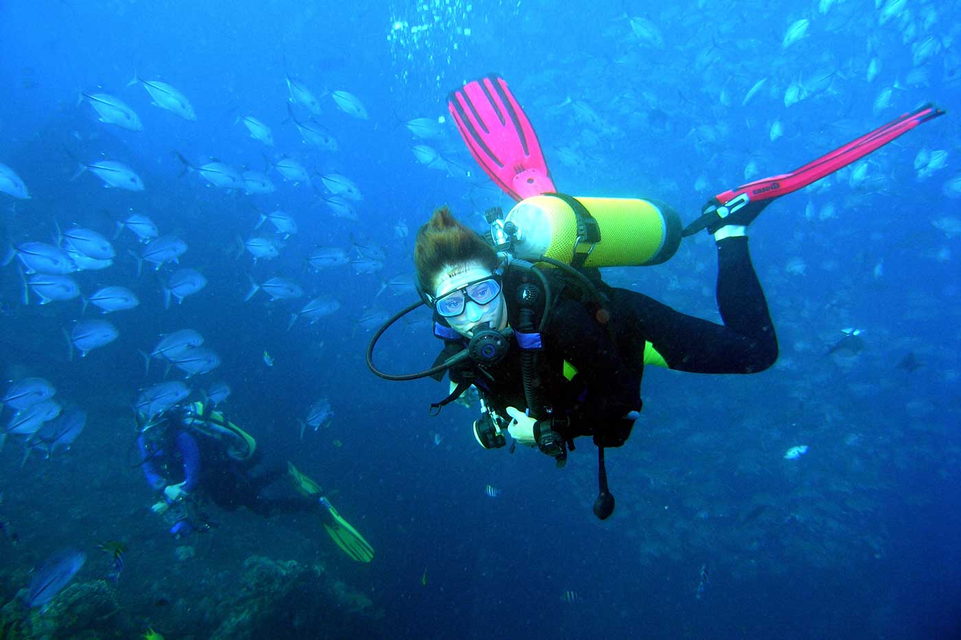 scuba-divers-celebrities